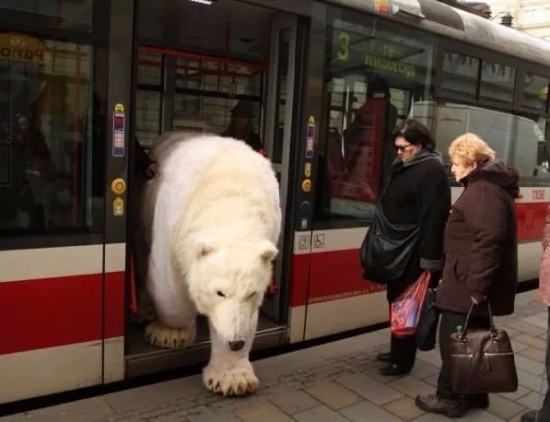 остановка бренд