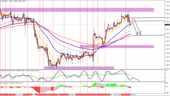 EURUSD H1 11.02.2014 (вечер)