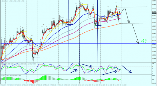 EURUSD H1 24.02.2014 (вечер)