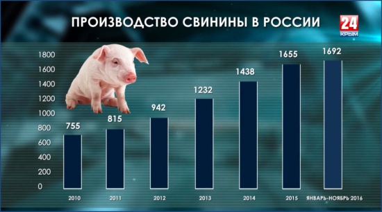 Крым-24. Экономика 11.01.2017