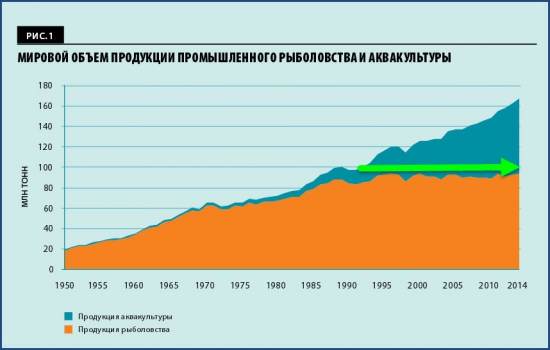 Крым-24. Экономика 25.01.2017