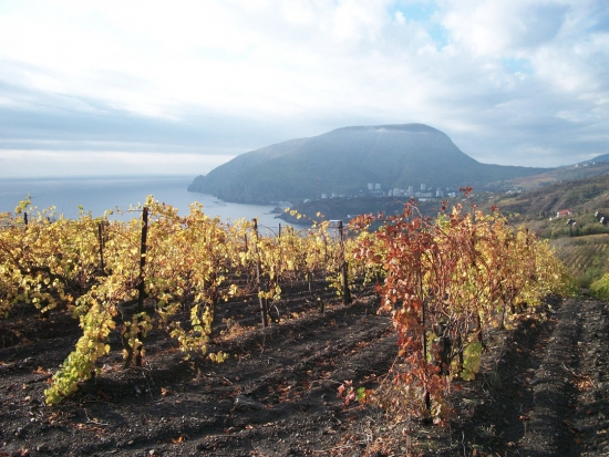 Экономика Южного Берега Крыма (Алушта+Ялта)