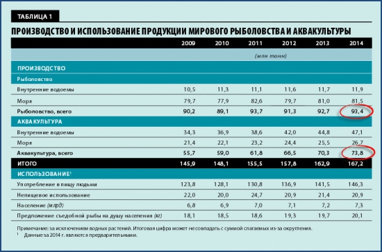 Крым-24. Экономика 08.02.2017