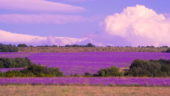 Экономика Бахчисарайского района (Крым)