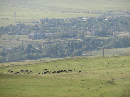 Экономика Белогорского района (Крым)