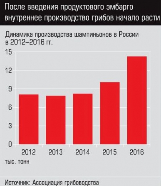 Толстые котики, или Статистика знает всё 30.06.2017