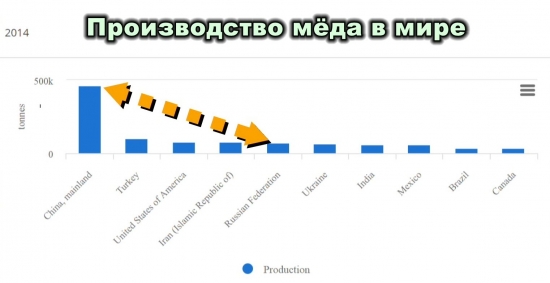 Россия на рынке мёда-2017