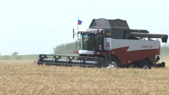 Россия на рынке зерновых-2017