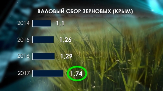 Россия на рынке зерновых-2017