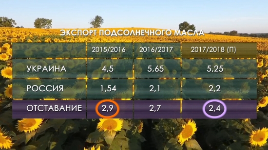 Мировой рынок подсолнечного масла