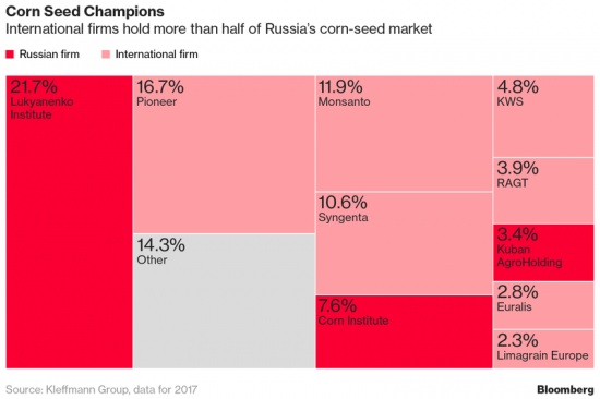 Импортозамещение семян.