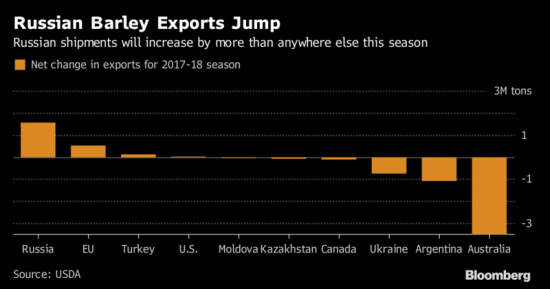 Россия на рынке ячменя