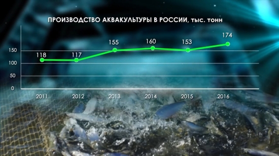 Рыбоводство России (аквакультура)