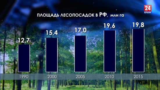 Леса России и Крыма