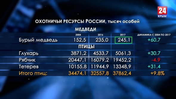 Медведи расплодились. Сколько в России диких зверей?