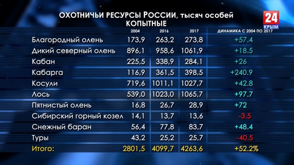 Медведи расплодились. Сколько в России диких зверей?