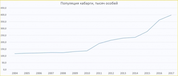 Медведи расплодились. Сколько в России диких зверей?