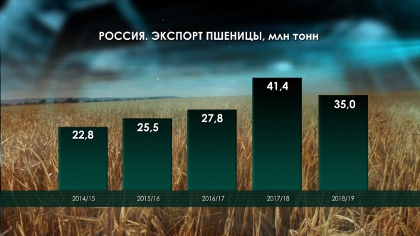 Россия - хлебная супердержава. Пшеница на экспорт.