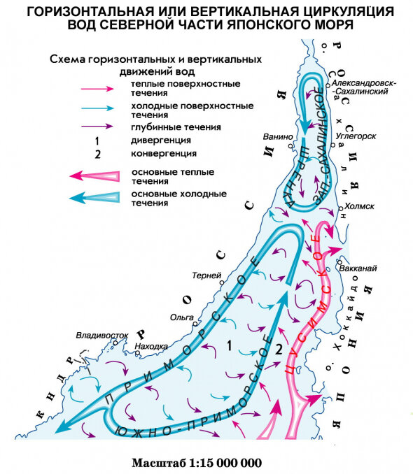 Русское вино: даёшь импортозамещение!