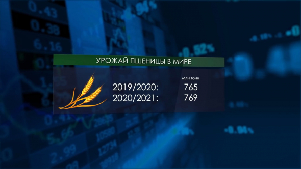 Россия - пшеничный тяжеловес | Дорогая гречка | В Крыму растут надои