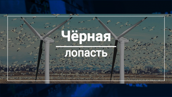 Ветряки убивают птиц и вызывают рак / Газ лучше ветра / Литва теряет белорусские грузы