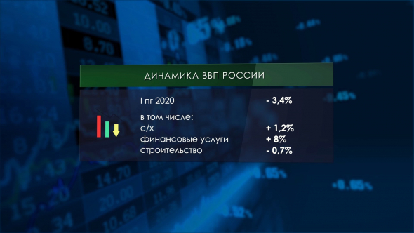 Падение ВВП России в I полугодии / Азиатские шершни убивают пчёл и людей / Мята спасает от облысения