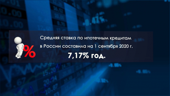 Падение ВВП России в I полугодии / Азиатские шершни убивают пчёл и людей / Мята спасает от облысения