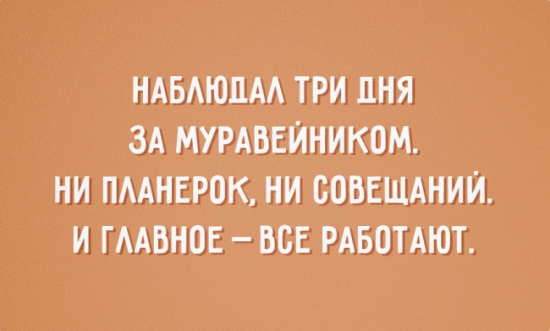 Трейдинг как жизнь и жизнь как трейдинг.