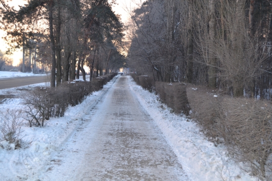 Мой торговый день 12.12.13