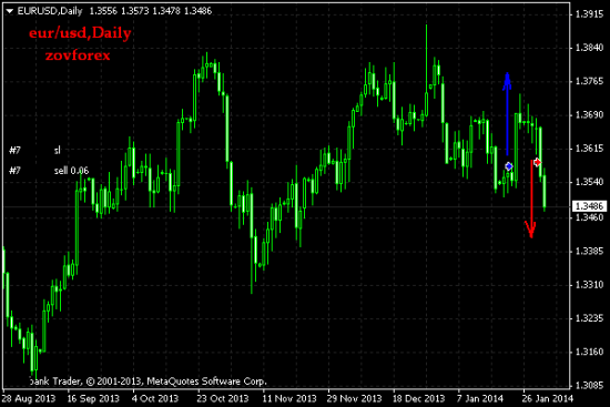 EUR/USD Daily. Результат за месяц январь 2014г.