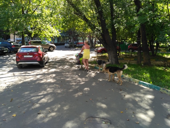 Маленькое, но жизненное дополнение к топику "Андрей Мовчан все намного лучше чем кажется"