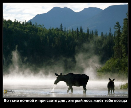 Всем скучающим после такого удачного вечера!