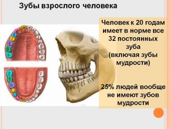 Опасность углеводной диеты