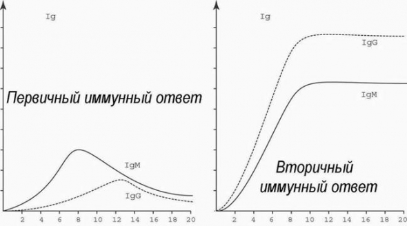 Наука! Как происходит заражение вирусом и как реагирует иммунитет