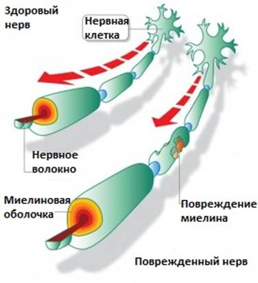 Всем известно, что отечественная вакцина от коронавируса барахло