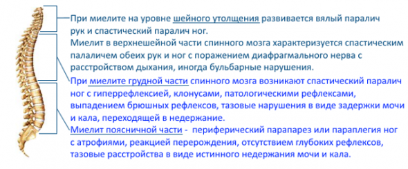 Всем известно, что отечественная вакцина от коронавируса барахло