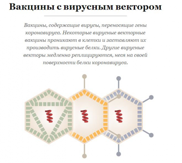 Гайд по вакцинам от коронавируса