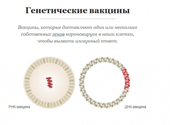 Гайд по вакцинам от коронавируса