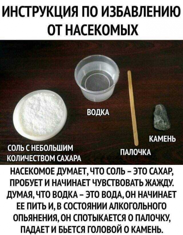 Актуально: эффективный способ уничтожения насекомых