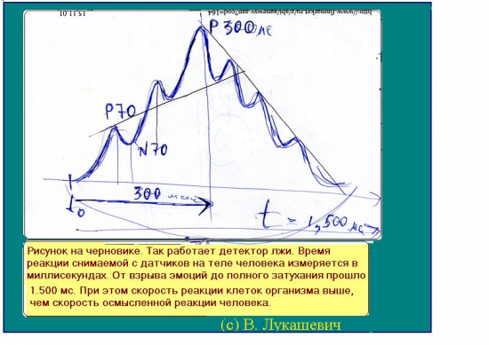 Голова на плечах или универсальные вещи ТА.