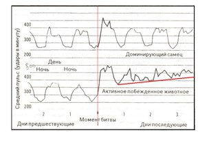 Семен Колупаев или битва тупаев или стоит ли держать лося