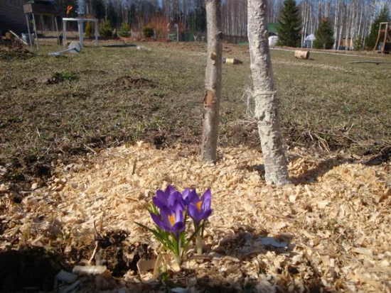 Критика из курятника. Да, знаю я это "творчество", гарантия убытков.