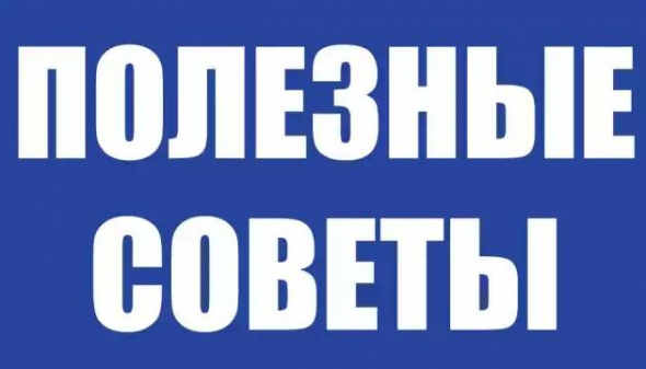 Советы начинающему инвестору от гуру поведенческой экономики.