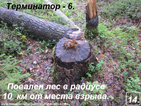 Отдых для Трейдера.