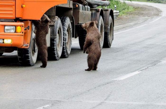 Всем удачных выходных!!!