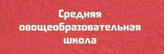 Осталось очень мало копий Макса и Роберта. (с) Черёмушкин