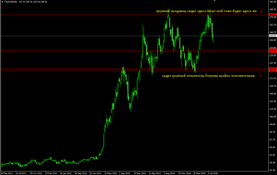 Свои 5 копеек по Tesla