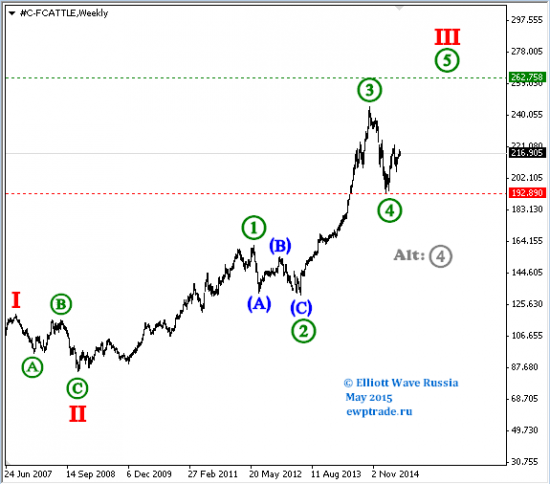 DJI, Platinum, Feed Cattle