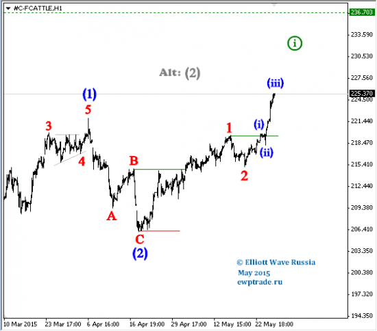 Feed Cattle intraday