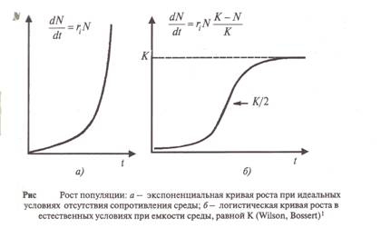 Фундаментальный закон природы, который управляет ценой, обрушит доллар и поднимет нефть